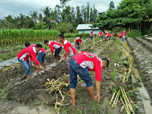 Para Crew Leader tengah praktek bertani di kebun BPPUT, Town Site 2. Selain prakter, para peserta juga diberikan materi pengolahan lahan, pemupukan, pembuatan kompos, perawatan tanaman, hama serta budidaya tanaman padi.